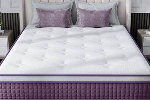 Best Box Spring for Purple Mattress: [Updated] Guide | Organic & Natural Mattress Buyer’s Guide: Non-Toxic Sleep Solutions