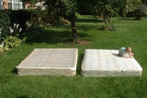 Easy Mattress & Box Spring Disposal: Options & Tips | Organic & Natural Mattress Buyer’s Guide: Non-Toxic Sleep Solutions