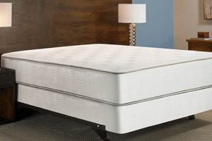 Best Box Spring for Mattress: Your Bed's Support Base | Organic & Natural Mattress Buyer’s Guide: Non-Toxic Sleep Solutions