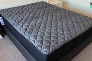Top-Rated Best Firm Mattress in a Box for Back Support | Organic & Natural Mattress Buyer’s Guide: Non-Toxic Sleep Solutions