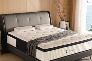 Buy: Amazon Full Size Mattress in a Box - Sleep Soundly! | Organic & Natural Mattress Buyer’s Guide: Non-Toxic Sleep Solutions