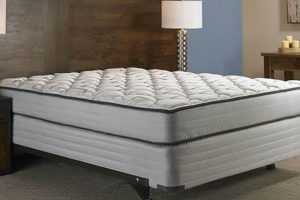 Best Base: Box Spring for Foam Mattress Comfort Guide Organic & Natural Mattress Buyer’s Guide: Non-Toxic Sleep Solutions Best Base: Box Spring for Foam Mattress Comfort Guide | Organic & Natural Mattress Buyer’s Guide: Non-Toxic Sleep Solutions