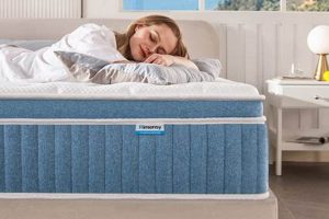 Compact Comfort: 10 Inch Twin Mattress In A Box Solution! Organic & Natural Mattress Buyer’s Guide: Non-Toxic Sleep Solutions Compact Comfort: 10 Inch Twin Mattress In A Box Solution! | Organic & Natural Mattress Buyer’s Guide: Non-Toxic Sleep Solutions