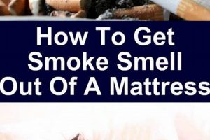 Get Rid of Cigarette Smoke: How to Clean Your Mattress Safem Fabrication - Precision Engineering & Custom Manufacturing Solutions Get Rid of Cigarette Smoke: How to Clean Your Mattress | Safem Fabrication - Precision Engineering & Custom Manufacturing Solutions
