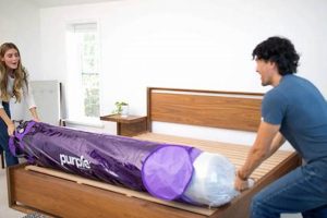 Unboxing the Best: Is a Purple Mattress in a Box Worth It? | Organic & Natural Mattress Buyer’s Guide: Non-Toxic Sleep Solutions
