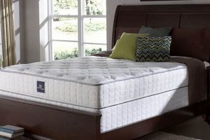 Ultimate King Mattress & Box Spring Guide For Perfect Sleep Organic & Natural Mattress Buyer’s Guide: Non-Toxic Sleep Solutions Ultimate King Mattress & Box Spring Guide For Perfect Sleep | Organic & Natural Mattress Buyer’s Guide: Non-Toxic Sleep Solutions