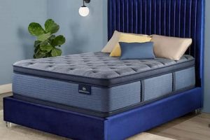 Big Lots Mattress & Box Springs: Budget-Friendly Sleep Now! Organic & Natural Mattress Buyer’s Guide: Non-Toxic Sleep Solutions Big Lots Mattress & Box Springs: Budget-Friendly Sleep Now! | Organic & Natural Mattress Buyer’s Guide: Non-Toxic Sleep Solutions