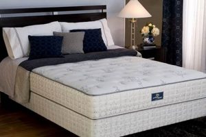 Serta Mattress Box Spring: Enhanced Support & Longevity! | Organic & Natural Mattress Buyer’s Guide: Non-Toxic Sleep Solutions