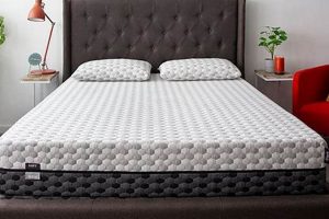 Find Your Best Bed in a Box Mattress: Top Sleep Picks | Organic & Natural Mattress Buyer’s Guide: Non-Toxic Sleep Solutions