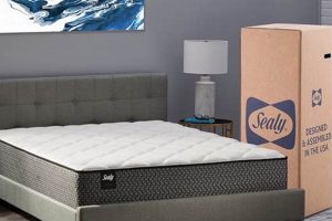 Best Queen Mattress in a Box Under $200: Affordable Sleep! | Organic & Natural Mattress Buyer’s Guide: Non-Toxic Sleep Solutions