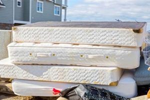 Easy Mattress Box Spring Removal: Get Rid of Yours FAST Organic & Natural Mattress Buyer’s Guide: Non-Toxic Sleep Solutions Easy Mattress Box Spring Removal: Get Rid of Yours FAST | Organic & Natural Mattress Buyer’s Guide: Non-Toxic Sleep Solutions