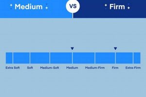 Firm vs Medium Mattress: Which is Best For *You*? Safem Fabrication - Precision Engineering & Custom Manufacturing Solutions Firm vs Medium Mattress: Which is Best For *You*? | Safem Fabrication - Precision Engineering & Custom Manufacturing Solutions
