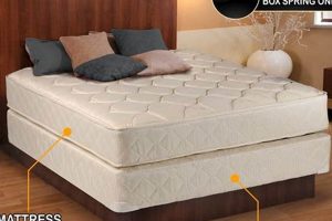Find Your Ideal Mattress Firm Box Spring Full Bed Organic & Natural Mattress Buyer’s Guide: Non-Toxic Sleep Solutions Find Your Ideal Mattress Firm Box Spring Full Bed | Organic & Natural Mattress Buyer’s Guide: Non-Toxic Sleep Solutions