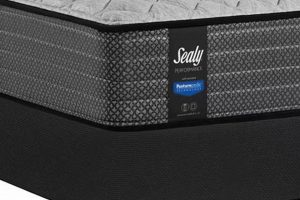 Sealy Mattress Box Spring: Your Bed's Foundation Organic & Natural Mattress Buyer’s Guide: Non-Toxic Sleep Solutions Sealy Mattress Box Spring: Your Bed's Foundation | Organic & Natural Mattress Buyer’s Guide: Non-Toxic Sleep Solutions