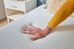 Box Spring Guide: Do I Need Box Springs with Memory Foam? | Organic & Natural Mattress Buyer’s Guide: Non-Toxic Sleep Solutions