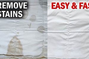 Easy How to Get Rid of Mattress Stains + Tips Organic & Natural Mattress Buyer’s Guide: Non-Toxic Sleep Solutions Easy How to Get Rid of Mattress Stains + Tips | Organic & Natural Mattress Buyer’s Guide: Non-Toxic Sleep Solutions
