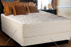 Best Box Spring Queen Mattress [Guide & Reviews] | Organic & Natural Mattress Buyer’s Guide: Non-Toxic Sleep Solutions