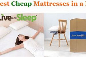 The Best Cheap Mattress in a Box: Sleep Soundly! | Organic & Natural Mattress Buyer’s Guide: Non-Toxic Sleep Solutions