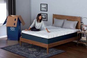 Serta Mattress in a Box: Unbox Comfort Today | Organic & Natural Mattress Buyer’s Guide: Non-Toxic Sleep Solutions