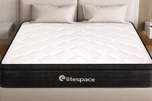 Best Box Spring Memory Foam Mattress Queen [Guide] | Organic & Natural Mattress Buyer’s Guide: Non-Toxic Sleep Solutions