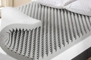 Comfort Boost: 4 Inch Egg Crate Mattress Topper Relief Organic & Natural Mattress Buyer’s Guide: Non-Toxic Sleep Solutions Comfort Boost: 4 Inch Egg Crate Mattress Topper Relief | Organic & Natural Mattress Buyer’s Guide: Non-Toxic Sleep Solutions
