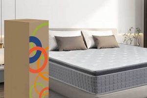 Best 14 Inch Twin Mattress for [Sleep Quality] & [Budget] | Organic & Natural Mattress Buyer’s Guide: Non-Toxic Sleep Solutions