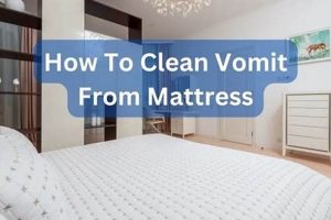 Mattress Mess? How to Get Puke Out of a Mattress, Fast! Organic & Natural Mattress Buyer’s Guide: Non-Toxic Sleep Solutions Mattress Mess? How to Get Puke Out of a Mattress, Fast! | Organic & Natural Mattress Buyer’s Guide: Non-Toxic Sleep Solutions