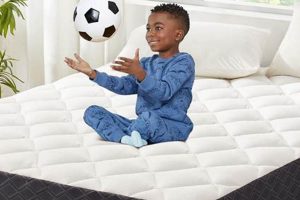 Best 5 Inch Twin Mattress: Find Your Perfect Size & Comfort Organic & Natural Mattress Buyer’s Guide: Non-Toxic Sleep Solutions Best 5 Inch Twin Mattress: Find Your Perfect Size & Comfort | Organic & Natural Mattress Buyer’s Guide: Non-Toxic Sleep Solutions