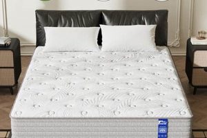 Best 12 Inch Hybrid Mattress for [Sleep Style] | Guide | Organic & Natural Mattress Buyer’s Guide: Non-Toxic Sleep Solutions