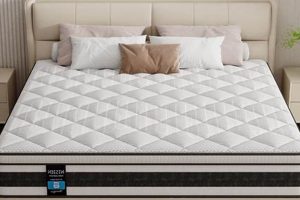 Best 10 Inch Full Size Memory Foam Mattress | Sleep Better! Organic & Natural Mattress Buyer’s Guide: Non-Toxic Sleep Solutions Best 10 Inch Full Size Memory Foam Mattress | Sleep Better! | Organic & Natural Mattress Buyer’s Guide: Non-Toxic Sleep Solutions
