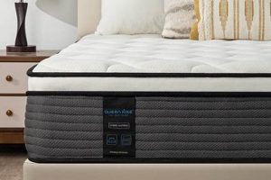 Best 14 Inch Mattress: Comfort &amp; Support [Guide] | Organic & Natural Mattress Buyer’s Guide: Non-Toxic Sleep Solutions
