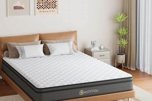 Best Queen Mattress 8 Inch Guide: Comfort & Value! Organic & Natural Mattress Buyer’s Guide: Non-Toxic Sleep Solutions Best Queen Mattress 8 Inch Guide: Comfort & Value! | Organic & Natural Mattress Buyer’s Guide: Non-Toxic Sleep Solutions