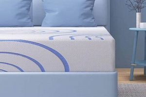 Best Queen Memory Foam Mattress (14-Inch Comfort!) Organic & Natural Mattress Buyer’s Guide: Non-Toxic Sleep Solutions Best Queen Memory Foam Mattress (14-Inch Comfort!) | Organic & Natural Mattress Buyer’s Guide: Non-Toxic Sleep Solutions