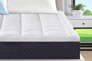 Best 10 Inch Full Mattress: Comfort & Support! Organic & Natural Mattress Buyer’s Guide: Non-Toxic Sleep Solutions Best 10 Inch Full Mattress: Comfort & Support! | Organic & Natural Mattress Buyer’s Guide: Non-Toxic Sleep Solutions