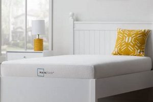 Best 6 Inch Memory Foam Mattress Twin for Small Spaces Organic & Natural Mattress Buyer’s Guide: Non-Toxic Sleep Solutions Best 6 Inch Memory Foam Mattress Twin for Small Spaces | Organic & Natural Mattress Buyer’s Guide: Non-Toxic Sleep Solutions