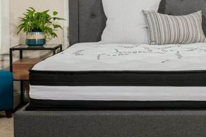 Best Value 10 Inch Mattress Full: Sleep Soundly Tonight! Organic & Natural Mattress Buyer’s Guide: Non-Toxic Sleep Solutions Best Value 10 Inch Mattress Full: Sleep Soundly Tonight! | Organic & Natural Mattress Buyer’s Guide: Non-Toxic Sleep Solutions