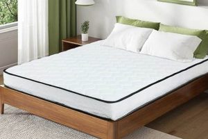 Best 6 Inch Queen Mattress: Space-Saving Comfort! Organic & Natural Mattress Buyer’s Guide: Non-Toxic Sleep Solutions Best 6 Inch Queen Mattress: Space-Saving Comfort! | Organic & Natural Mattress Buyer’s Guide: Non-Toxic Sleep Solutions