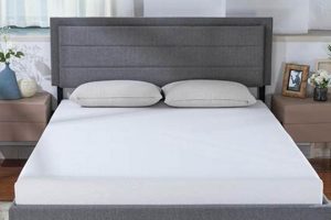 Best 6 Inch Mattress Topper Organic & Natural Mattress Buyer’s Guide: Non-Toxic Sleep Solutions Best 6 Inch Mattress Topper | Organic & Natural Mattress Buyer’s Guide: Non-Toxic Sleep Solutions