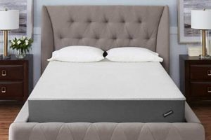 Best Beautyrest 10 Inch Firm Queen Mattress [Review] | Organic & Natural Mattress Buyer’s Guide: Non-Toxic Sleep Solutions