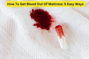 Easy Steps: How Can I Get Blood Out of a Mattress? + Tips Organic & Natural Mattress Buyer’s Guide: Non-Toxic Sleep Solutions Easy Steps: How Can I Get Blood Out of a Mattress? + Tips | Organic & Natural Mattress Buyer’s Guide: Non-Toxic Sleep Solutions