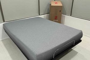 Top-Rated: Best 10 Inch Mattress [2024 Guide] | Organic & Natural Mattress Buyer’s Guide: Non-Toxic Sleep Solutions