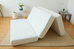 Best 6 Inch Tri Fold Mattress For Comfy Sleep! Organic & Natural Mattress Buyer’s Guide: Non-Toxic Sleep Solutions Best 6 Inch Tri Fold Mattress For Comfy Sleep! | Organic & Natural Mattress Buyer’s Guide: Non-Toxic Sleep Solutions
