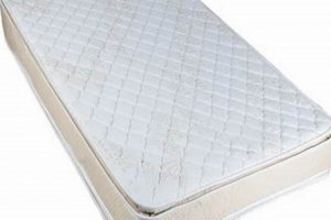 Best 30 Inch Wide Mattress [Find Yours!] Guide | Organic & Natural Mattress Buyer’s Guide: Non-Toxic Sleep Solutions