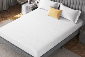 Best 8 Inch Queen Mattress [Guide + Deals] | Organic & Natural Mattress Buyer’s Guide: Non-Toxic Sleep Solutions