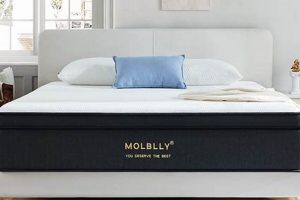 Best Queen Size Mattress 12 Inch: Comfort & Support | Organic & Natural Mattress Buyer’s Guide: Non-Toxic Sleep Solutions