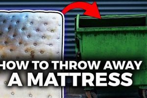 Easy Ways: How to Get Rid of Used Mattress + Disposal Tips Organic & Natural Mattress Buyer’s Guide: Non-Toxic Sleep Solutions Easy Ways: How to Get Rid of Used Mattress + Disposal Tips | Organic & Natural Mattress Buyer’s Guide: Non-Toxic Sleep Solutions
