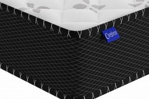 Best 5 Inch Foam Mattress [Your Guide] Today! | Organic & Natural Mattress Buyer’s Guide: Non-Toxic Sleep Solutions