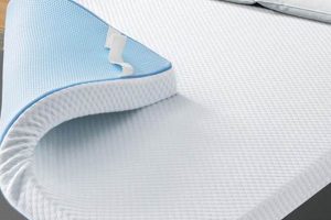 Best 4 Inch Mattress Topper: Comfort & Support! | Organic & Natural Mattress Buyer’s Guide: Non-Toxic Sleep Solutions