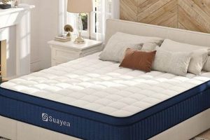 Find Your Perfect King Mattress 12 Inch Comfort! | Organic & Natural Mattress Buyer’s Guide: Non-Toxic Sleep Solutions