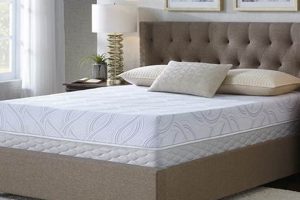Best 8-Inch Memory Foam Mattress Queen Size! Review | Organic & Natural Mattress Buyer’s Guide: Non-Toxic Sleep Solutions